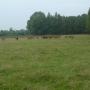 In de omgeving