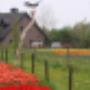 Zorgboerderij Rondmeer