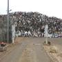 Venlose Metaal Recycling BV