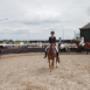 Lucky Stable Manege