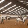 Lucky Stable Manege