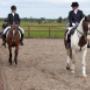 Lucky Stable Manege