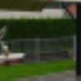 Sixhaven Watersportver Dok en Scheepsbouw
