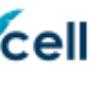 Texcellent