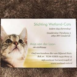 Stichting Wetland-Cats