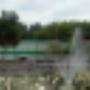 Esch De
