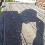 Duiven wering op electra