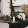Protestantse Gemeente Scheemda e o De Ontmoeting