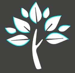 Student Consultancy Group
