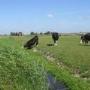 Bezoekerscentrum De Breek