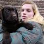 Kennel van Odijkershof