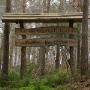 Natuurbegraafplaats Venlo-Maasbree