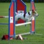Utrechtse Rashondenvereniging