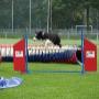 Utrechtse Rashondenvereniging