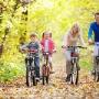 fotolia_38214533_xs_151459_240