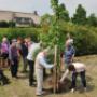 MC Nieuw Gastel Behandelpraktijk Groenhuysen