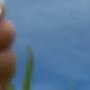 (medisch-pedicure)