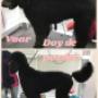 Hondentrimsalon Fluffy Dogs