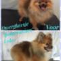 Hondentrimsalon Fluffy Dogs