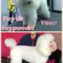 Hondentrimsalon Fluffy Dogs
