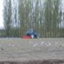 Veldman Loonbedrijf BV