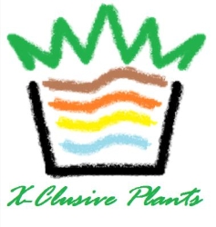 X-Clusive Plants