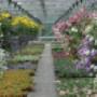 Bloemenkwekerij de Tol