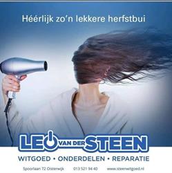 Leo van der Steen