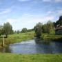 Widdershoven F J
