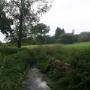 Widdershoven F J