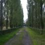Widdershoven F J