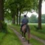 Kosman Gastenboerderij