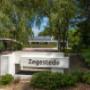 Begraafplaats Zegestede