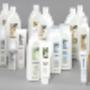 MAIN Cosmetics BV