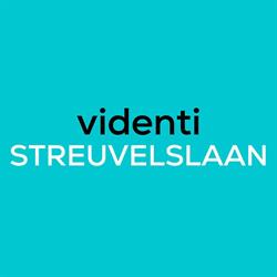 Videnti Streuvelslaan