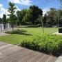 Tuinonderhoud Haarlem