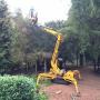 Boomverzorging Aerdenhout