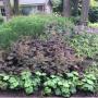 Beplanting Santpoort