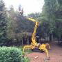 Boomverzorging Aerdenhout