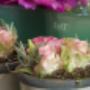 Bloem&Meer