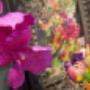 Bloem&Meer