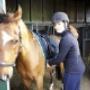 Nederlands Dagblad