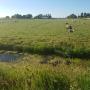 Directe omgeving