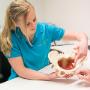 Bekkenfysiotherapie