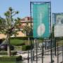 Seegers Gardens BV