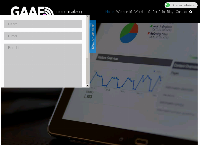 Website van Gaaf Internet Marketing 