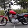 Door een bezoeker 06-01-2018 geüpload - Harley Davidson Customizing