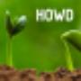 HOWD