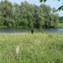Camping de Maasvallei Oeffelt