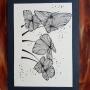 Zentangle